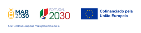 LogoMAR2030